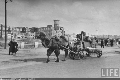 i - 2025-11-24T195055.470