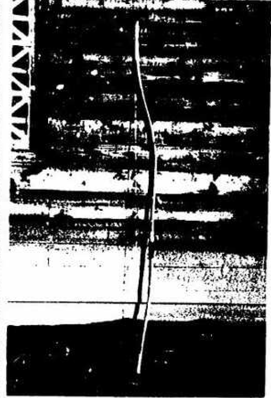 scale_1200 (26)