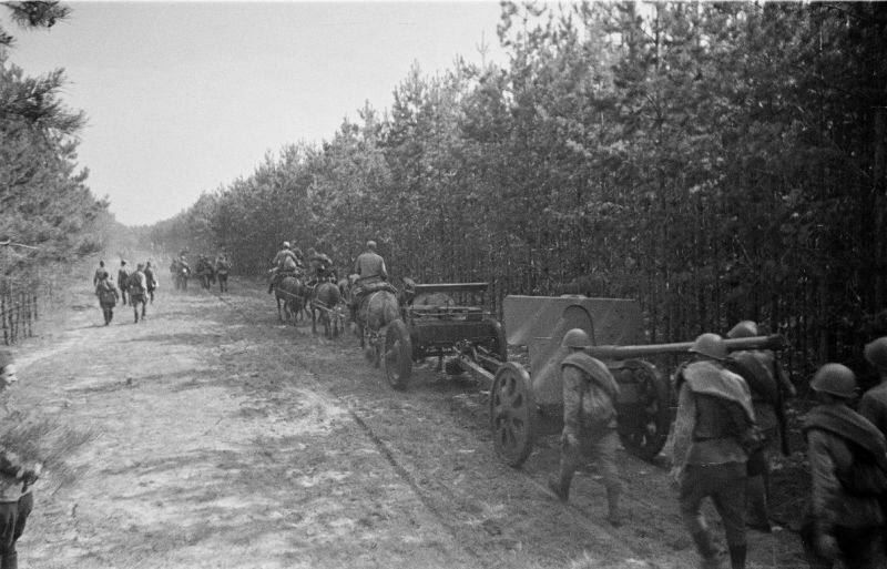 IMG_20251216_001136_807