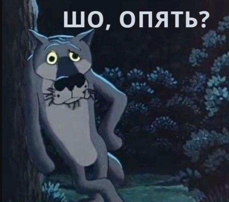 9e3cc91fd8385d212f474c41e87b6ea1