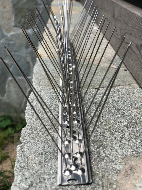 17802339479561429452433601916572