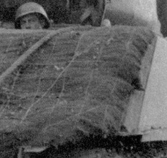 15190-tolstomyasyy-sherman-17