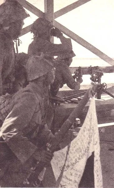Japanese SMLE photoc