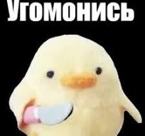 17560522462496223872009274999533
