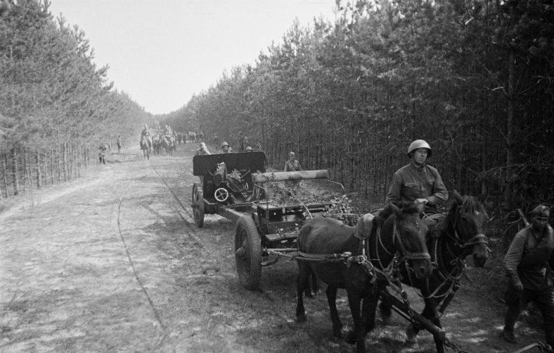 IMG_20251216_001136_504