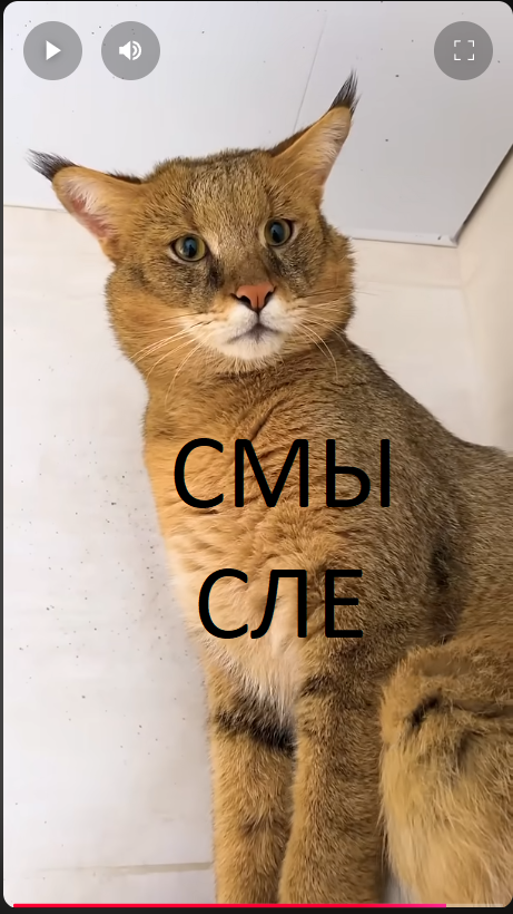 смысле_мем