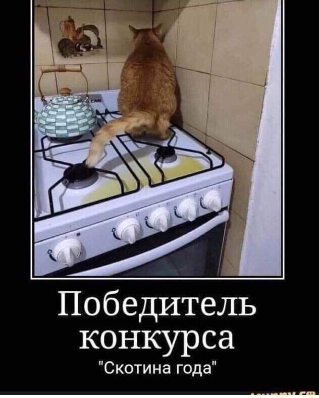 a0fb8ba1eeb066e4aa5db9c90faf7fba