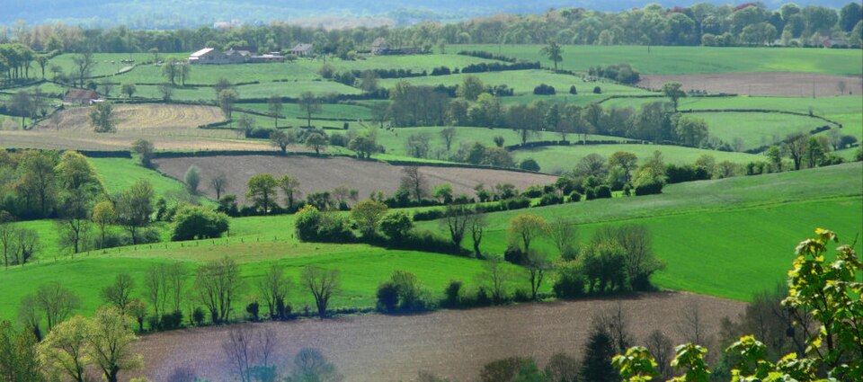 Bocage_boulonnais