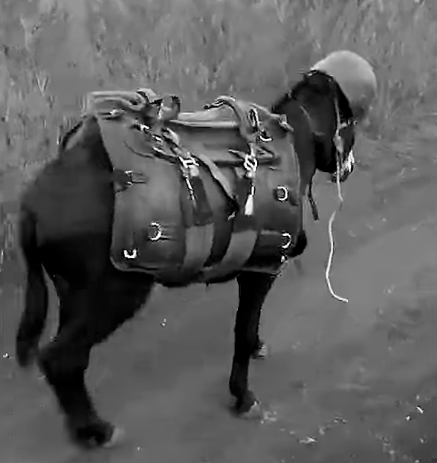 Снимок экрана 2025-11-24 160351 (1)