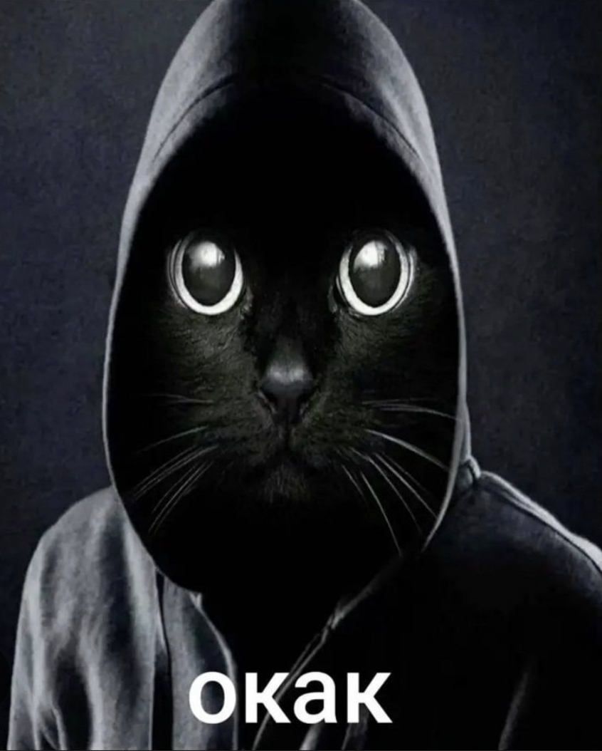 Screenshot_20251224_005927_com_google_android_googlequicksearchbox_GoogleAppActivi