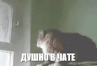 0a9f0aec4b0126ce22a0b7d5ad684ad5