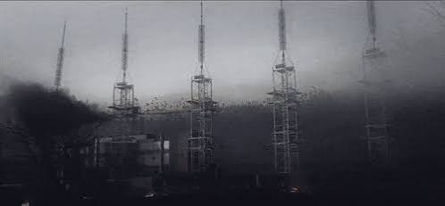 17910242809294950052614455478810