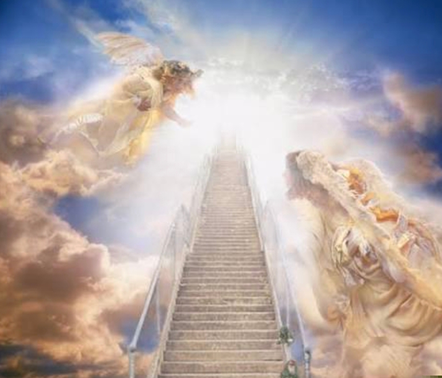 Screenshot_2025-11-28-15-48-20-437_com.android.chrome-edit