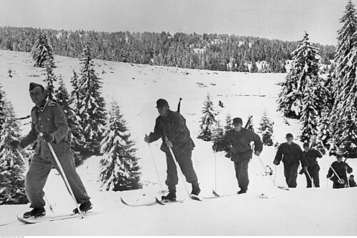 Żołnierze_6.dywizji_strzelców_górskich_SS__Nord__na_nartach_na_froncie_fińskim.(2-986)