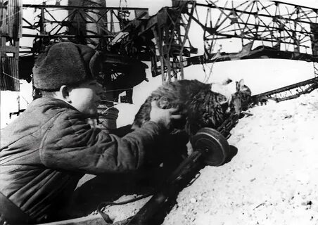 i - 2025-11-24T194942.588