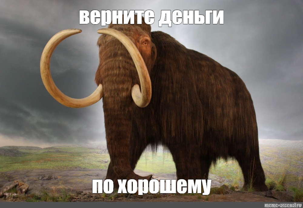 67c90bd49fb8c5e74a8a8b2ed3e0bbe9