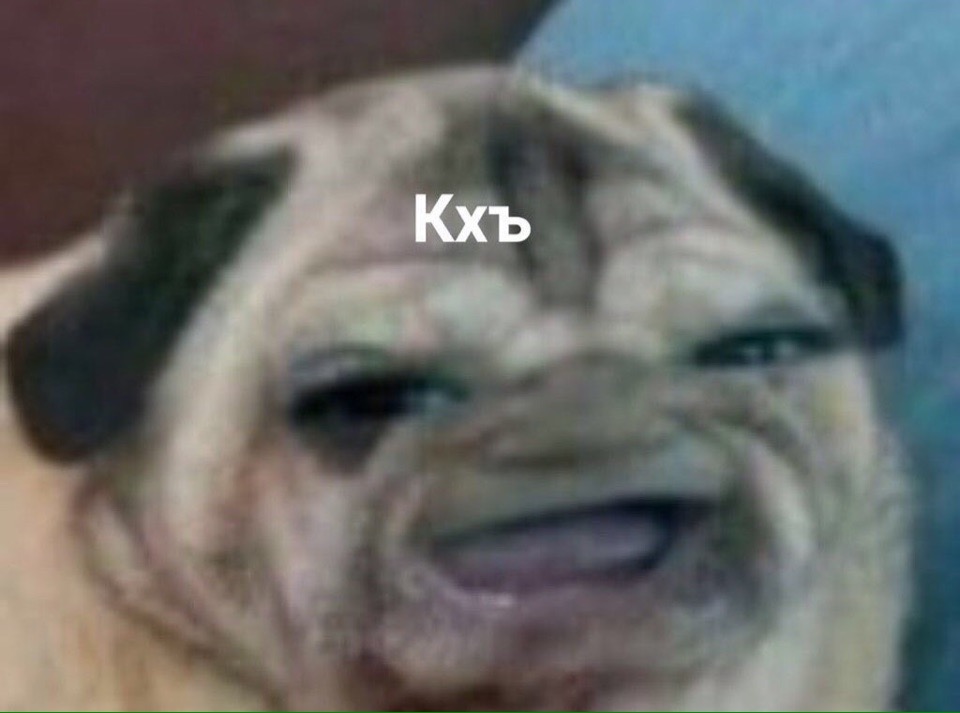 NN1Srb6ACJc