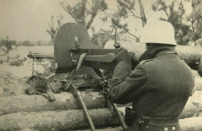 1637459343_maksim_brustver2