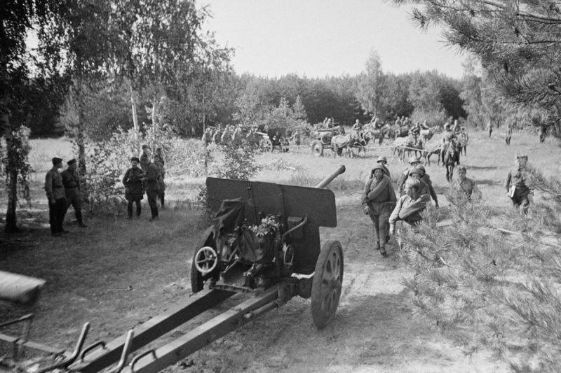 IMG_20251216_001136_422