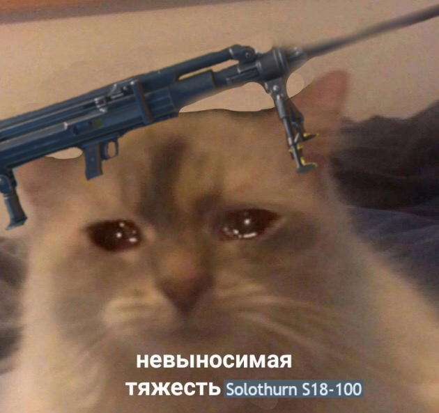 котик и солатурн