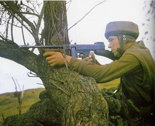 9653179264fd1f7ac5cd6dbaeaa71de39f5624aa