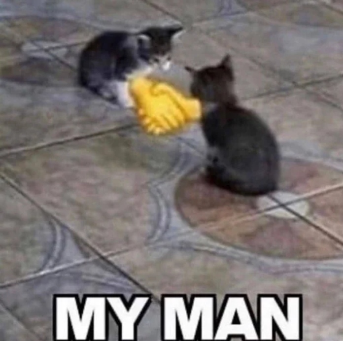 Screenshot_20251014_002612_org.telegram.messenger_edit_1068181262582317