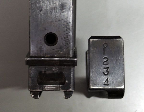 scale_1200 (31)