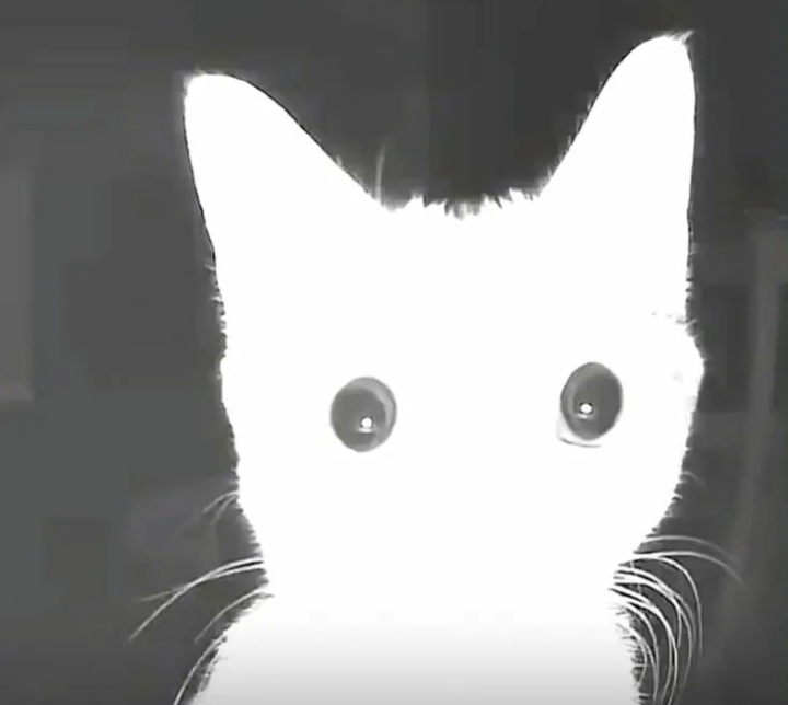 Screenshot_20251116-003134_Samsung Internet