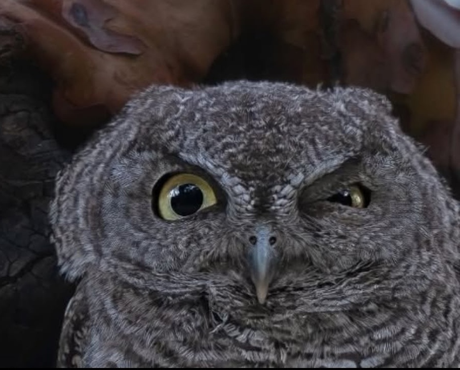 jCeDRM3r42w_edit_721228809071197