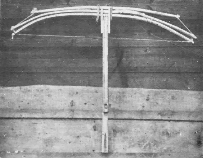 scale_1200 (25)