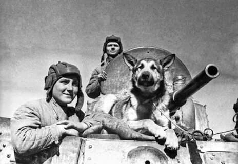 i - 2025-11-24T195001.498