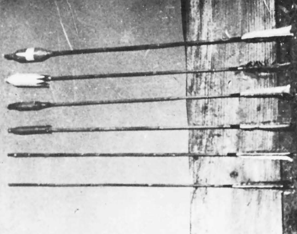 scale_1200 (30)