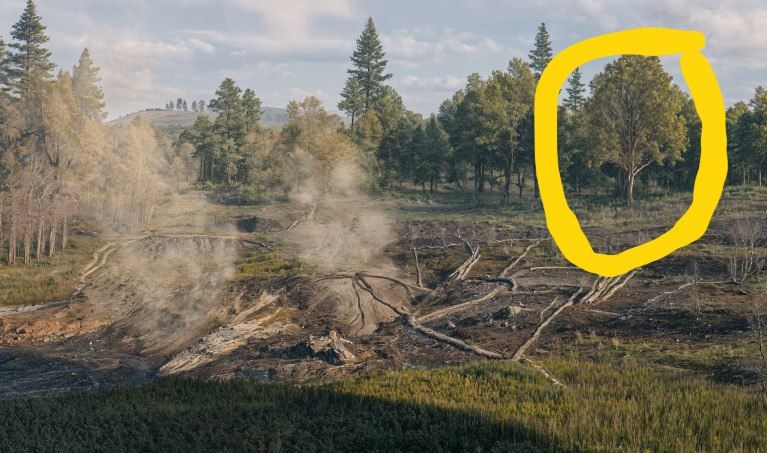 IMG_20251129_182537_759