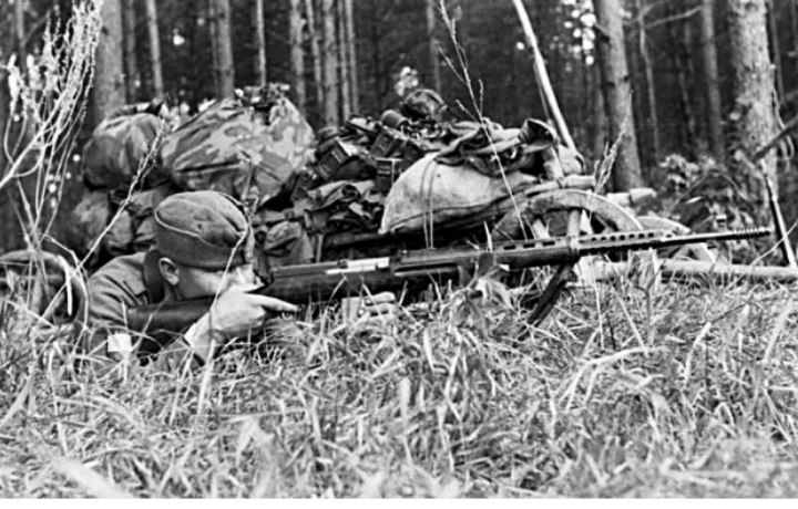 IMG_20251113_022124_885