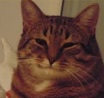 17608312616492618940169896781807