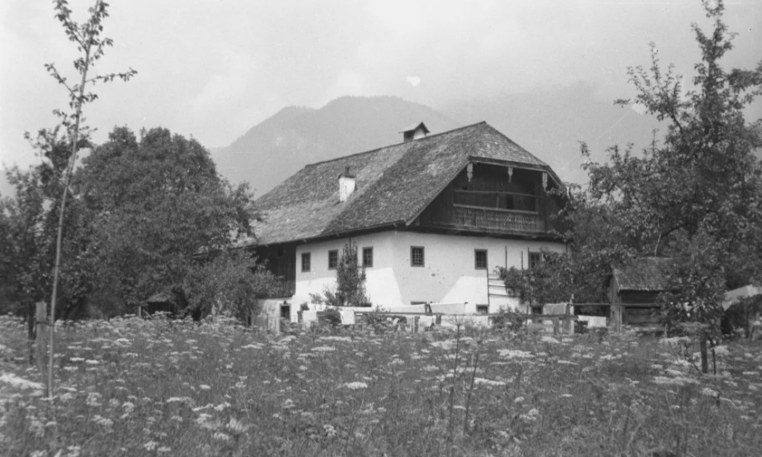 Screenshot_20251201_135356