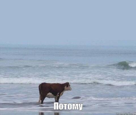 17742749051995408521401147698329