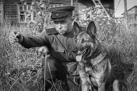 i - 2025-11-24T195006.123