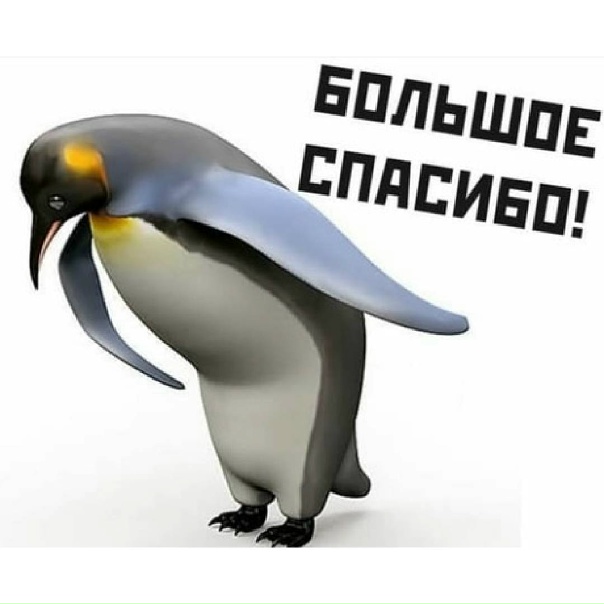 pQKmu916wZ0