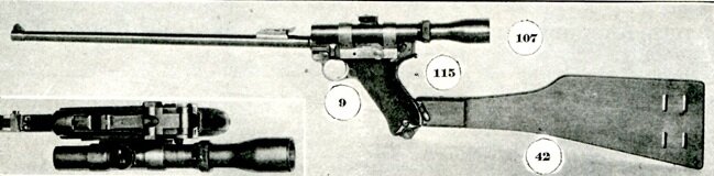 scale_1200 (12)