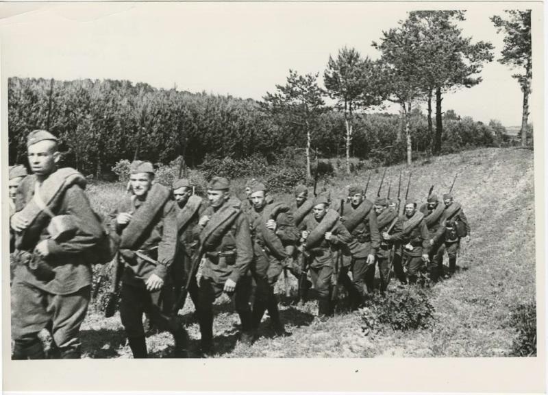 z3s54044474b68d5_1024