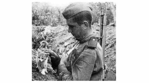 i - 2025-11-24T194934.934