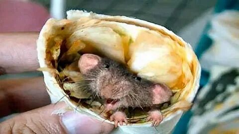 i - 2026-02-10T010925.152