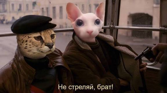 17627196714143950632119649273244