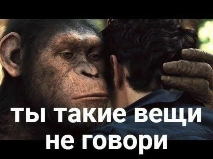 bc22fba38455f42c55212133ae121c55