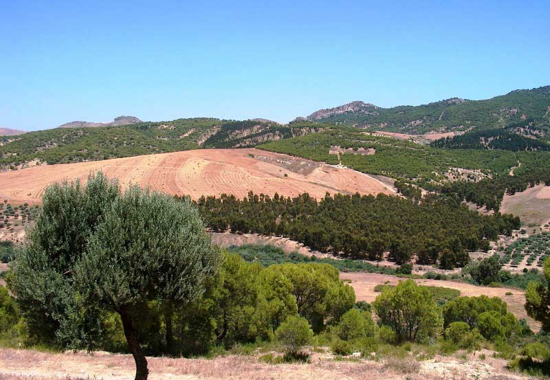 gornyj-rajon-Tunisa